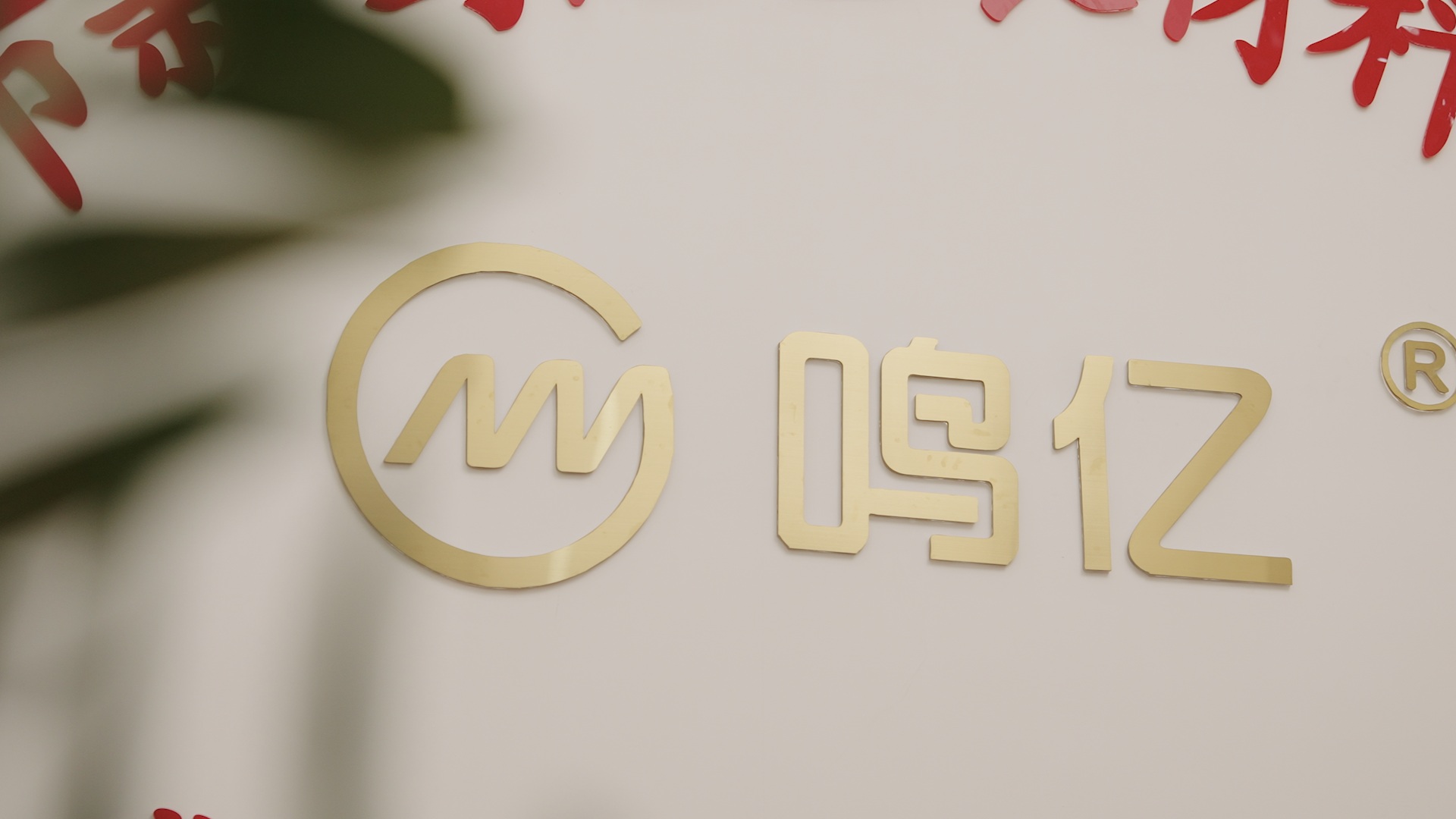 Weide Chuangyi Packaging