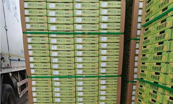 Protect Food Shipments with High-Strength PP & PET Strapping